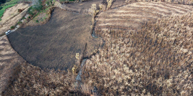 Nariño restringe las quemas abiertas ante el aumento del riesgo de incendios