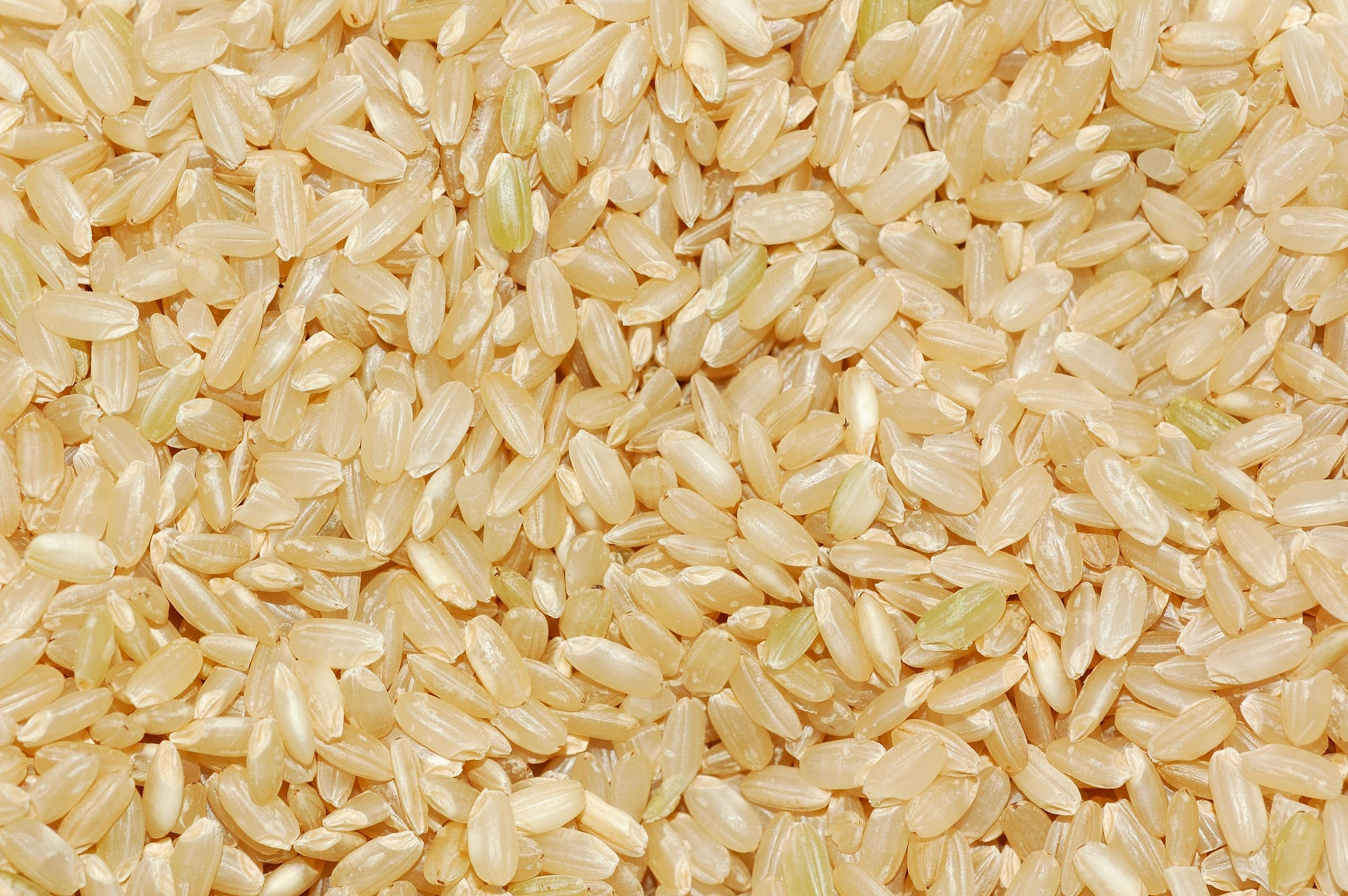¿El arroz le queda pegajoso o sin sabor? Estos errores al cocinarlo podrían estar arruinando una de las comidas favoritas de los colombianos