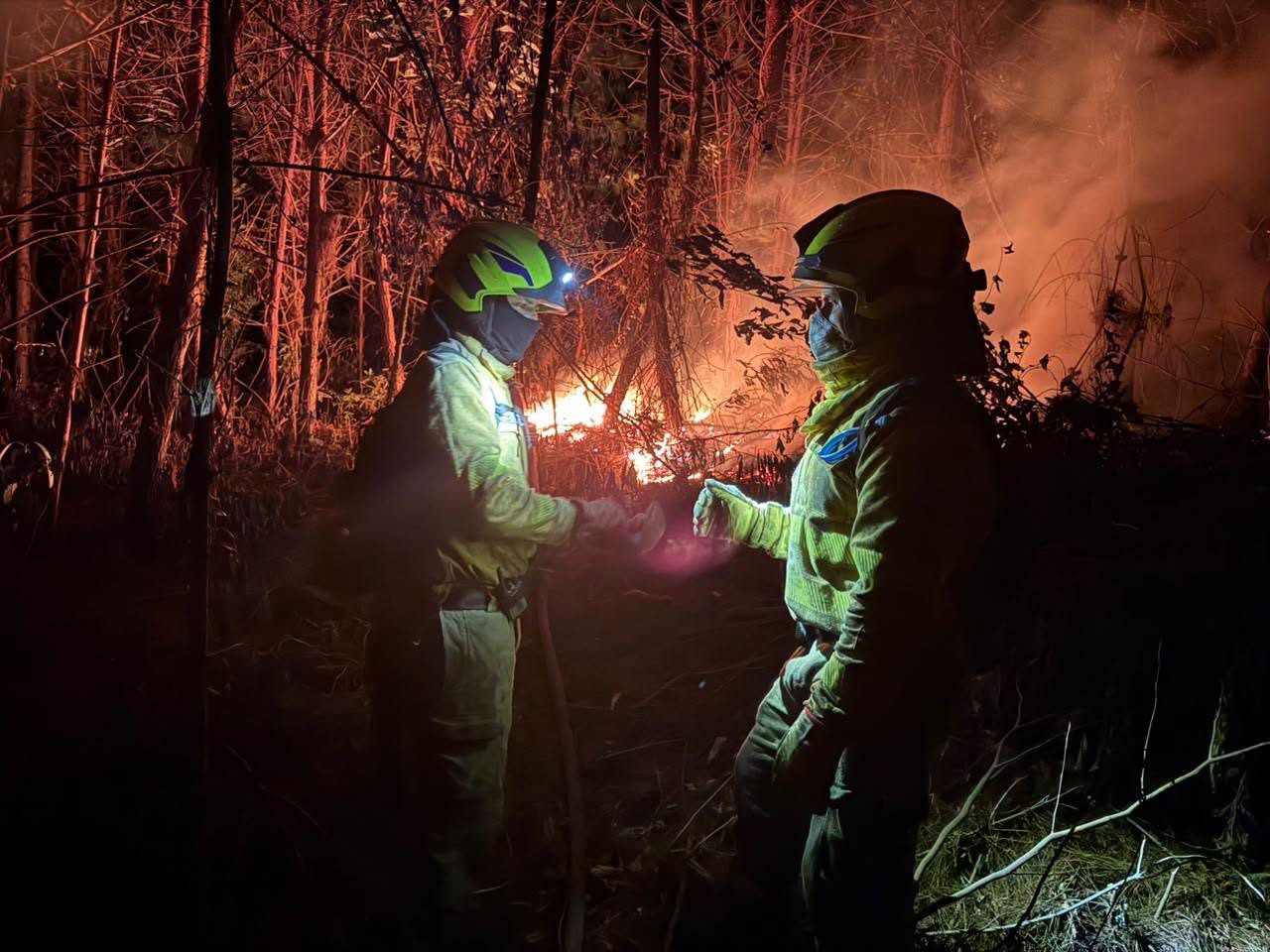 Incendio forestal consumió más de dos hectáreas en el Bosque del Carpintero en Pasto, Nariño