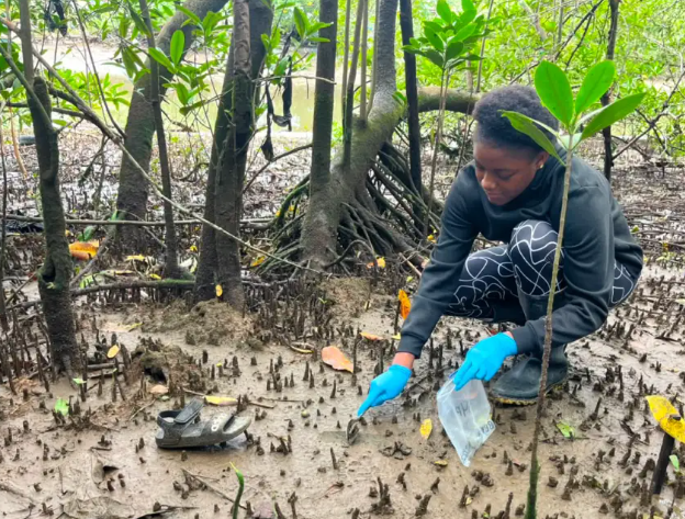 El semillero Propágulos lleva la ciencia y la conservación a Bahía Solano