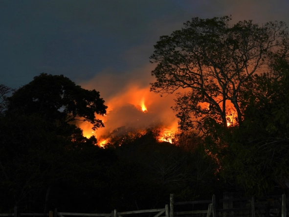 Los riesgos de los incendios forestales en Colombia: expertos explican las consecuencias para la calidad del aire, el suelo y la vegetación