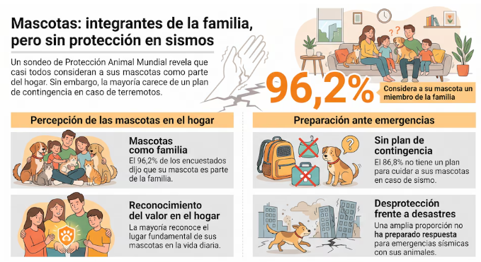 El error que nunca debe cometer al evacuar con perros y gatos durante un sismo