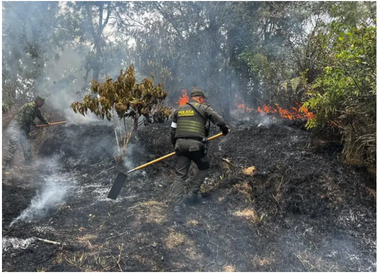 Incendio arrasó más de cinco hectáreas de bosque en Guatapé