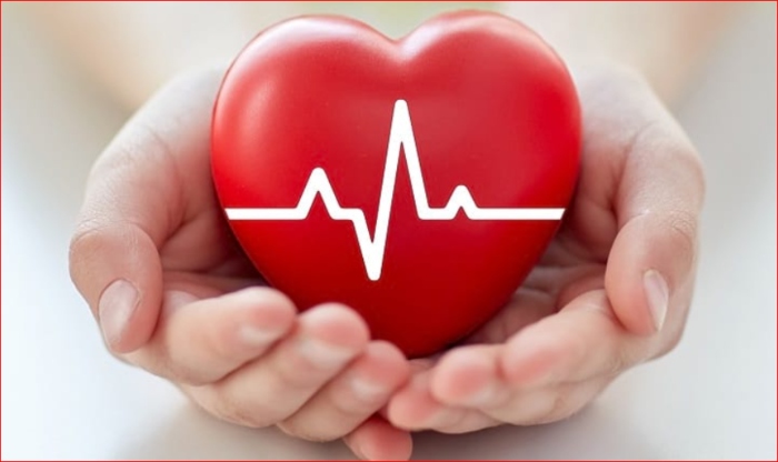 29 de septiembre, Día Mundial del Corazón: ¿Por qué el azúcar alto termina afectando las arterias?