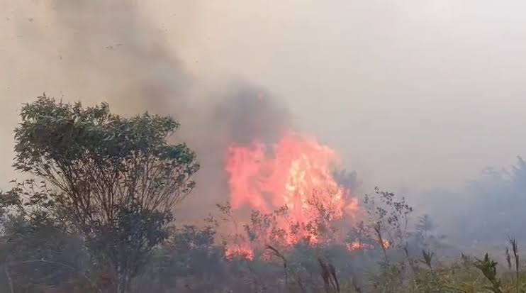 Alerta en Nariño por 12 incendios