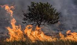 Incendio en Villa de Leyva: van 240 hectáreas afectadas; 400 personas trabajan para controlarlo