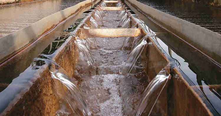 La Empresa de Acueducto avanza en la reparación de una tubería matriz para restablecer el agua en Suba