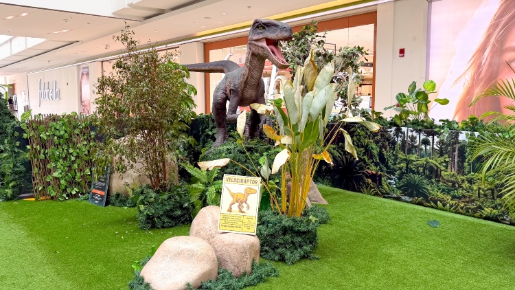 Velociraptor World: Multiplaza invita a las familias bogotanas a vivir una experiencia inmersiva entre dinosaurios