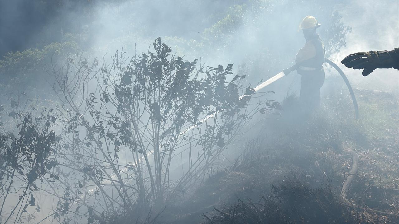 3 hectáreas de bosque nativo fueron consumidas por incendio