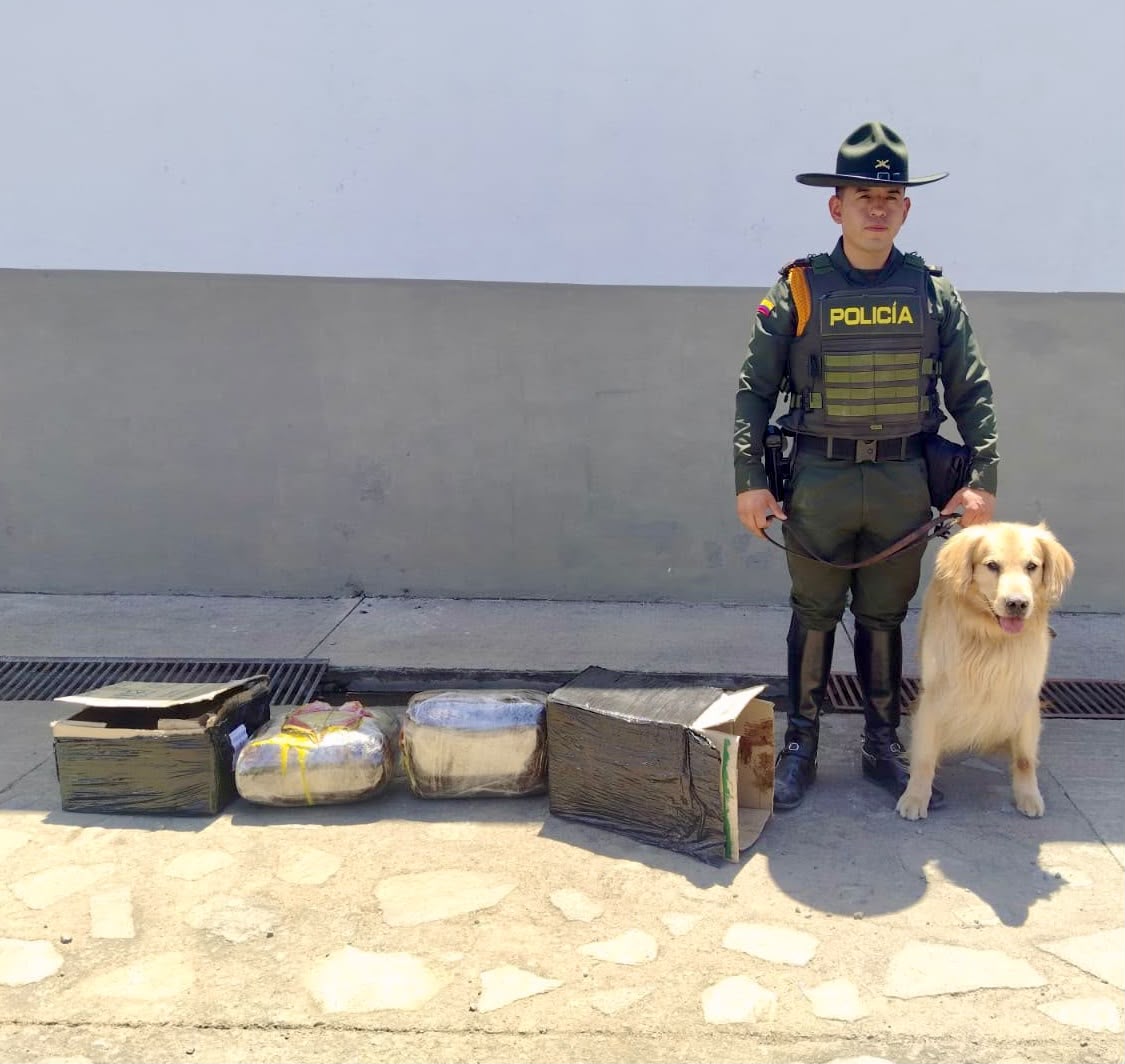 11 kilos de marihuana detectados en encomienda durante controles en Popayán