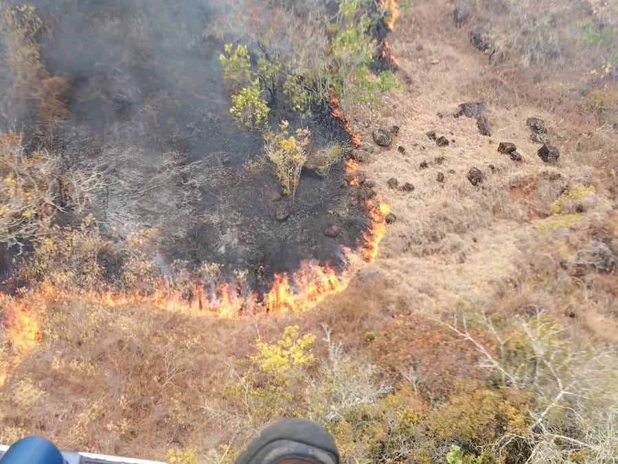 Gobernador de Cundinamarca confirma que incendio forestal en Nilo fue controlado en un 98%