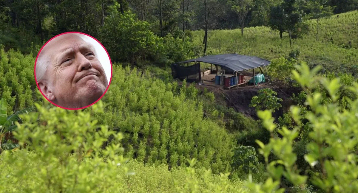 EE. UU. mantiene la descertificación de Colombia en la lucha antinarcóticos, pero prevé revisar la medida tras compromisos de De La Espriella