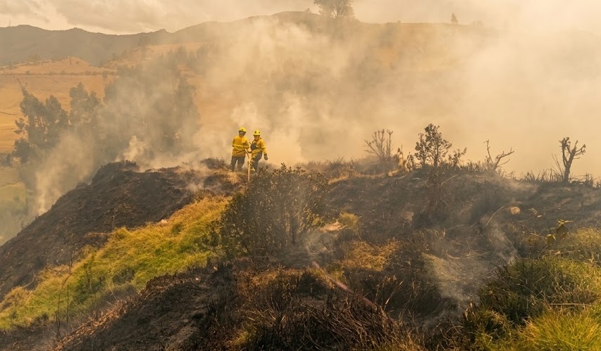 La emergencia por incendios crece en Nariño con 207 casos atendidos