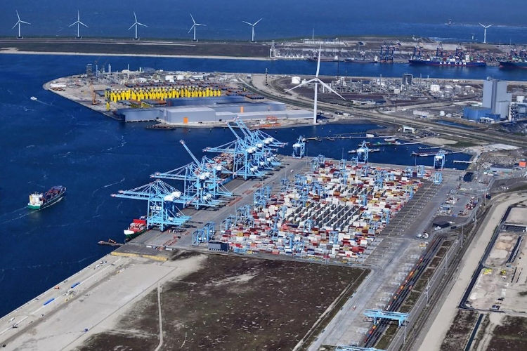 La terminal de Rotterdam que combina automatización total y energía renovable