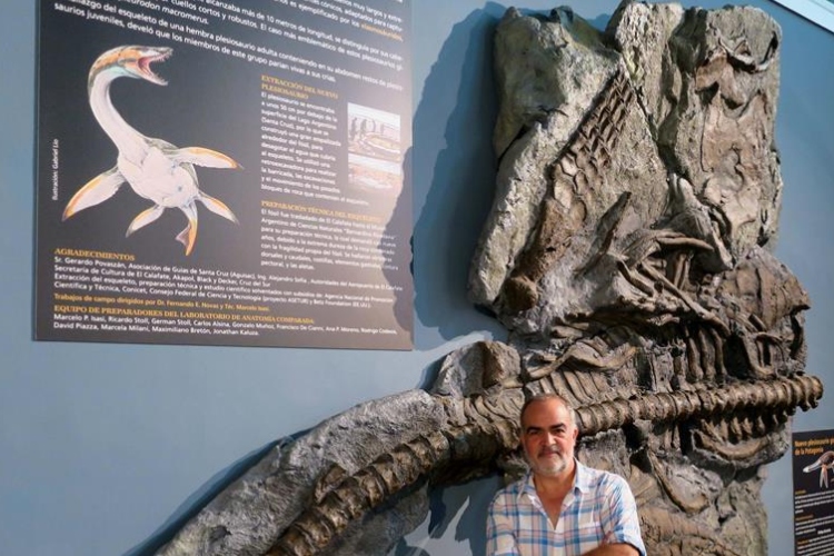 Fósiles de un antiguo reptil marino revelan el pasado oceánico de Río Negro
