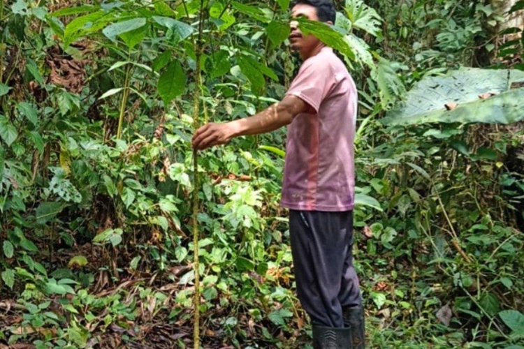 Ecuador apuesta por los corredores biológicos para conectar reservas y recuperar bosques degradados