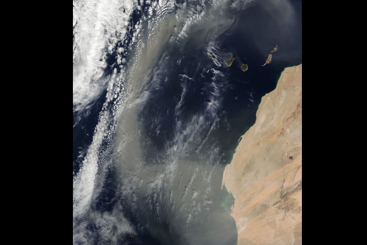 Una gigantesca masa de polvo del Sahara se extiende sobre el Atlántico y es captada por satélites de la NASA