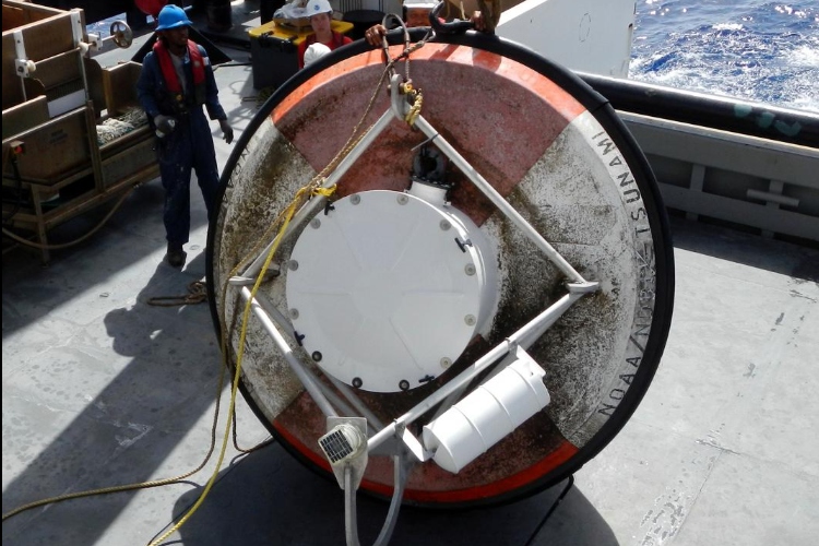 Sensores bajo el mar: así funciona la red submarina de monitoreo en el Caribe