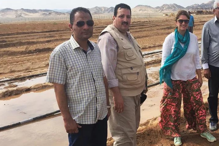 Plantas, agua y ciencia: así avanza la restauración de suelos agrícolas en zonas áridas
