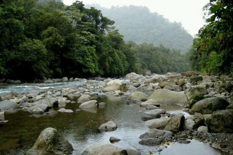 Cartago pone sus cuencas en el centro de la conservación de fuentes hídricas
