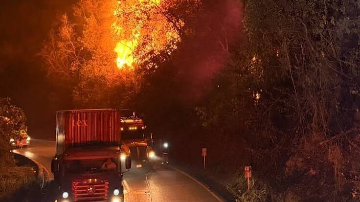 Incendio forestal consume cerca de cuatro hectáreas en la vía La Línea