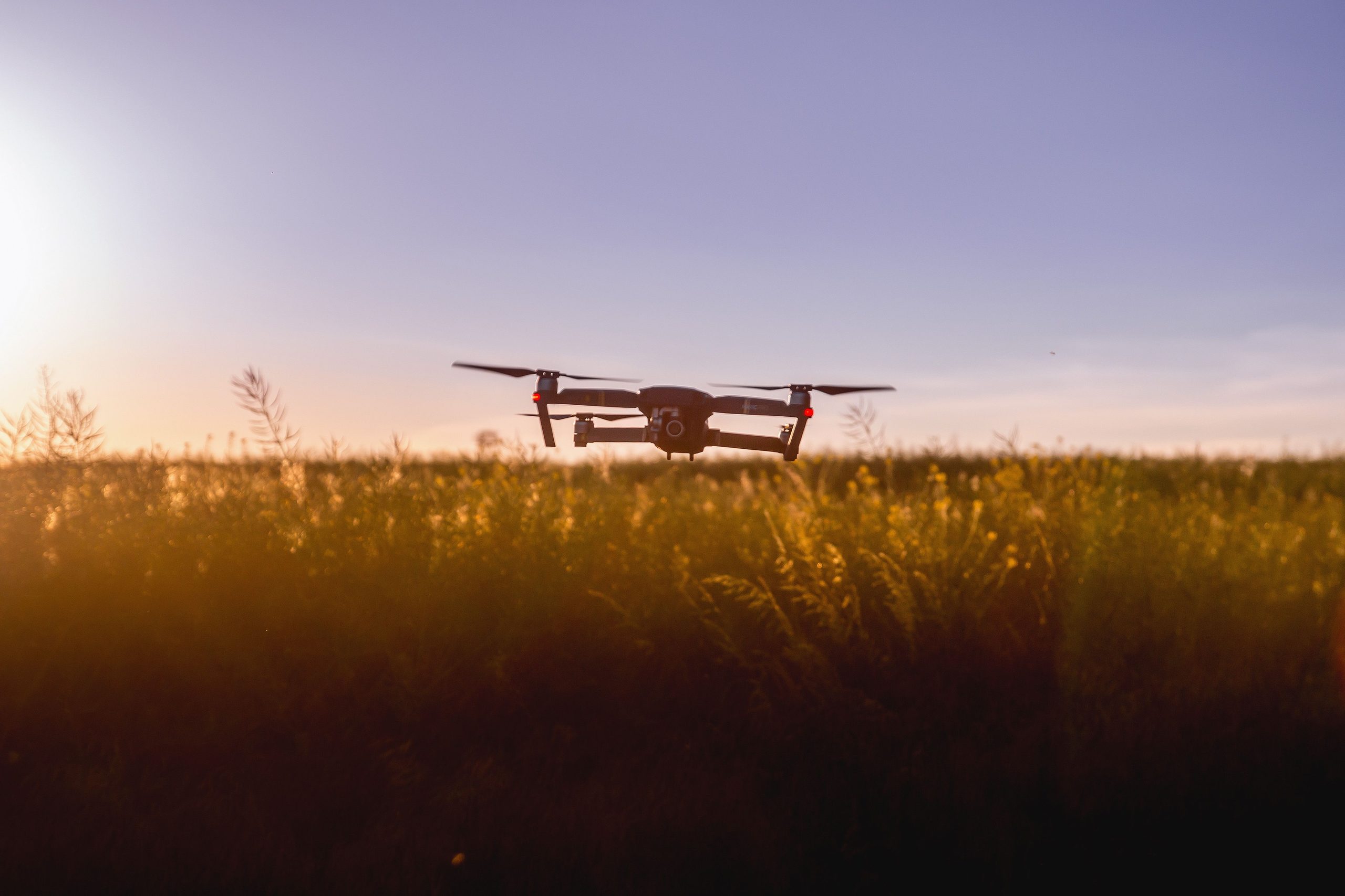 ¡El campo colombiano empieza a volar! Los drones que están cambiando la forma de cultivar y cuidar las cosechas