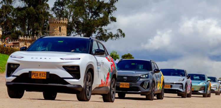 ¿Sabías que los autos eléctricos reducen el estrés en las mascotas?